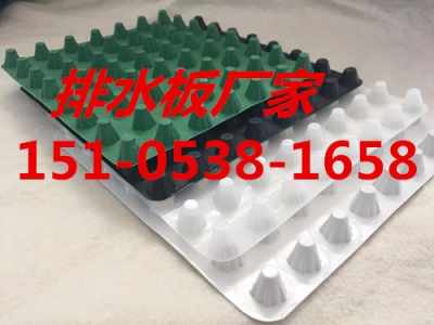 大連樓頂綠化排水板領(lǐng)軍集團(tuán) 以專業(yè)建材，筑城市生態(tài)未來(lái)